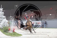 ref. photo 3397589