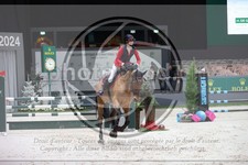 ref. photo 3397593