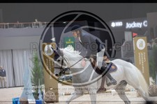 ref. photo 3397639
