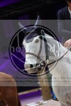ref. photo 3397651