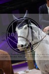 ref. photo 3397652
