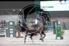 ref. photo 3397671