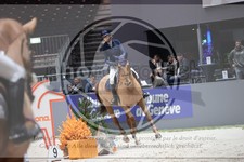 ref. photo 3397817