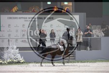 ref. photo 3397862