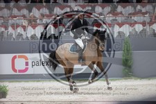 ref. photo 3397966