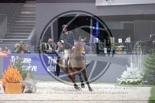 ref. photo 3397993