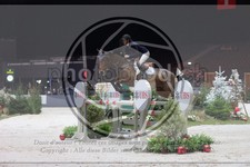 ref. photo 3397994