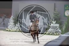 ref. photo 3398010