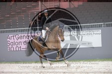 ref. photo 3398051