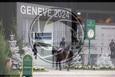 ref. photo 3398073