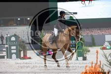 ref. photo 3398102