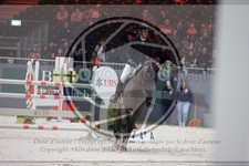 ref. photo 3398119