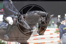 ref. photo 3398127