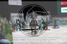 ref. photo 3398137