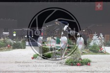 ref. photo 3398152