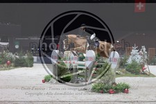 ref. photo 3398162