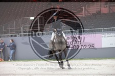 ref. photo 3398220