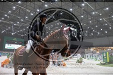 ref. photo 3398227