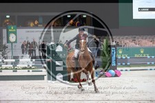 ref. photo 3398236