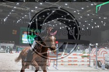 ref. photo 3398238