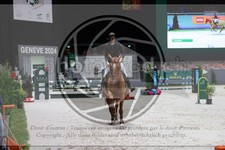 ref. photo 3398293