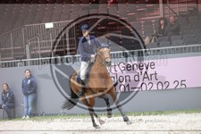 ref. photo 3398324