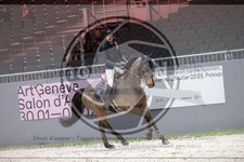 ref. photo 3398334