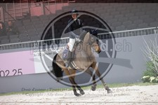 ref. photo 3398335