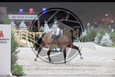 ref. photo 3398347