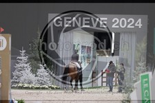 ref. photo 3398348