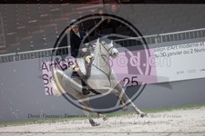 ref. photo 3398354