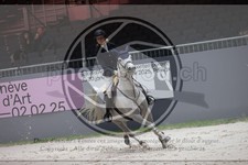 ref. photo 3398355