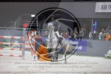ref. photo 3398361
