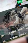 ref. photo 3398366