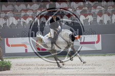 ref. photo 3398367