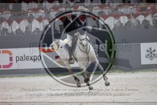 ref. photo 3398368