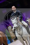 ref. photo 3398375