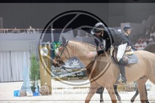 ref. photo 3398395