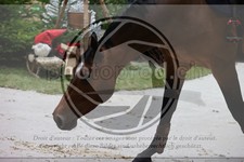 ref. photo 3398413