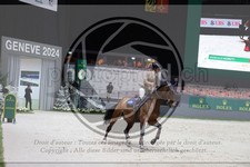 ref. photo 3398421