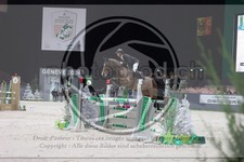 ref. photo 3398436