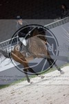 ref. photo 3398447