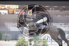 ref. photo 3398475
