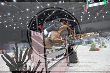 ref. photo 3398499