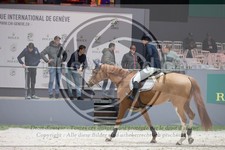 ref. photo 3398504