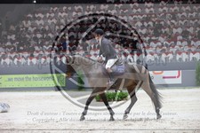 ref. photo 3398516
