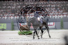 ref. photo 3398580
