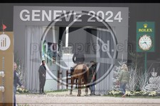 ref. photo 3398601