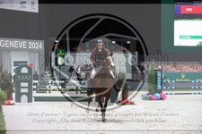 ref. photo 3398611