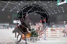 ref. photo 3398613
